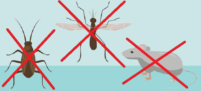 Interventi di derattizzazione e disinfestazione contro insetti alati