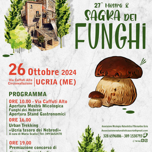 XXVII mostra e sagra dei funghi a cura dell'Associazione micologica "Padre Bernardino"